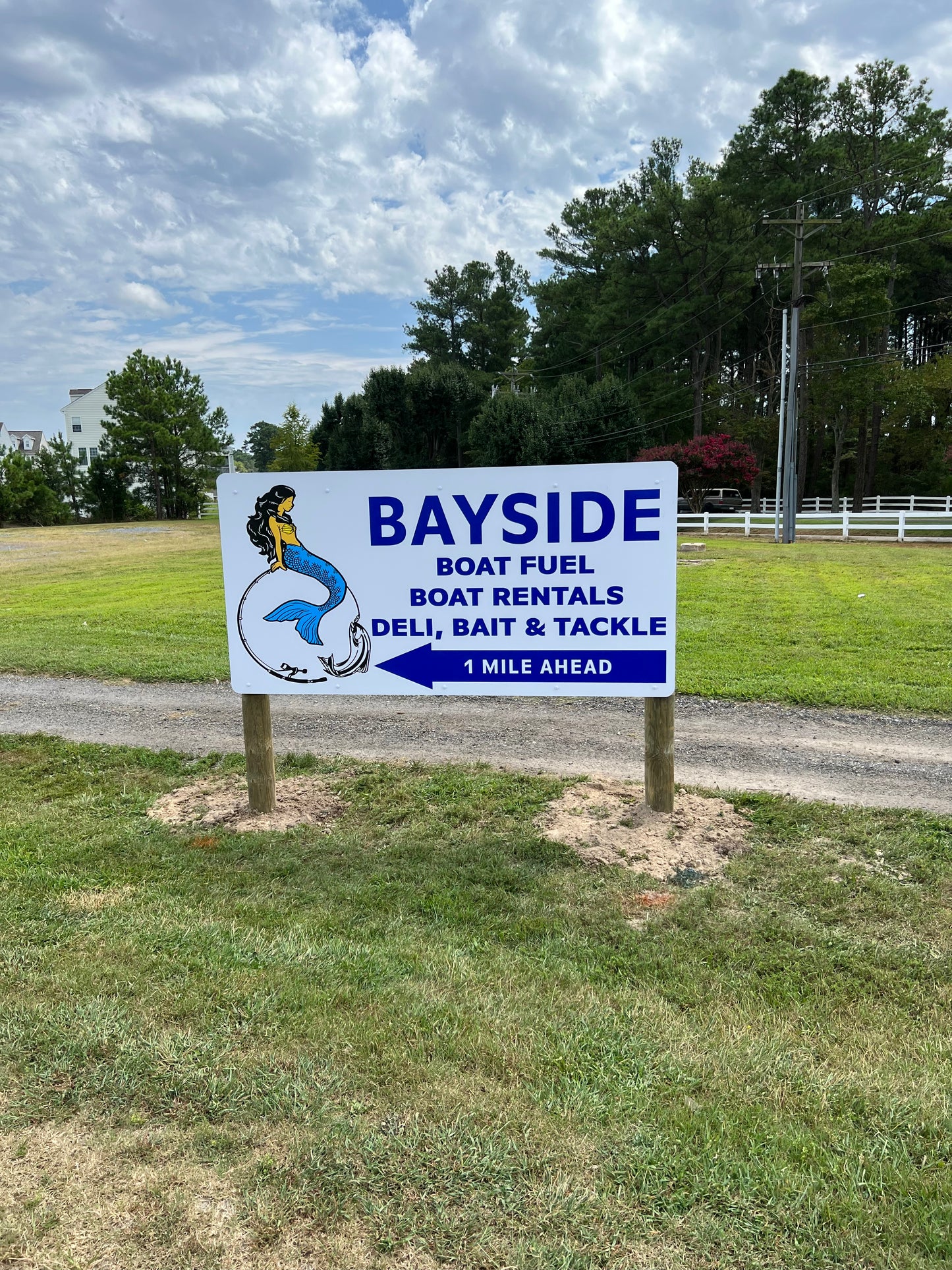 Business and Storefront Signs