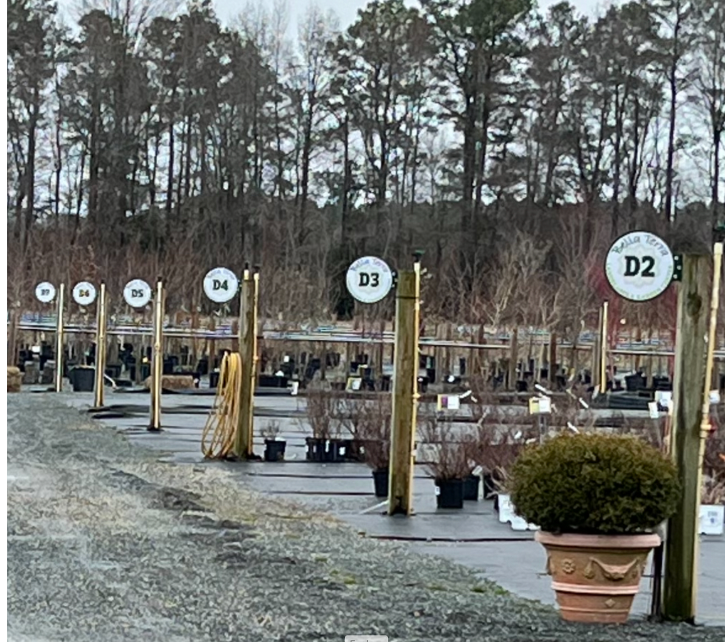 Business and Storefront Signs